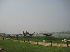 IMG_4286-西安世博园