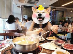 -八合里潮汕鲜牛肉火锅(深圳海岸城店)