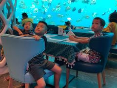 -瑞德姆美人鱼海底演艺主题餐厅(亚龙湾店)