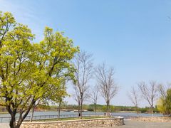 -东郊湿地公园
