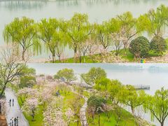 -鸡鸣寺