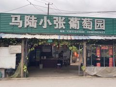 -马陆小张葡萄园农家乐