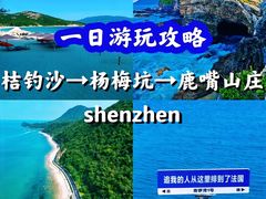 -杨梅坑