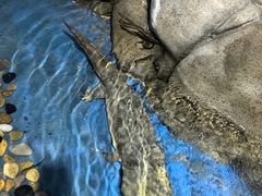 -泉州海丝野生动物世界