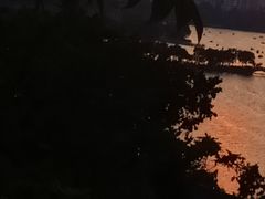 -九华山公园