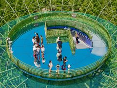 -黄海国家森林公园