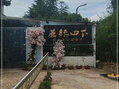 -蘑统田下·野生菌火锅