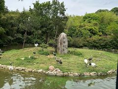 -杭州野生动物世界