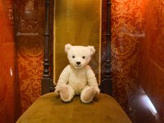 -济州岛泰迪熊博物馆