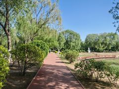 -丁香湖公园