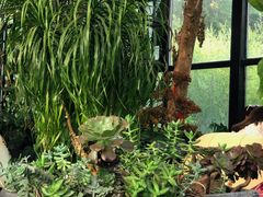 -北马山庄植趣咖啡