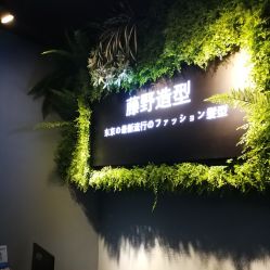 点击看大图 -藤野造型