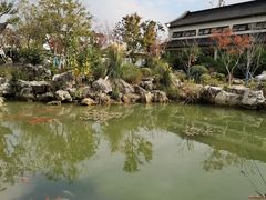 -阳澄湖半岛旅游度假区