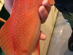 -江杨农产品批发市场