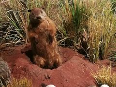 -陕西自然博物馆