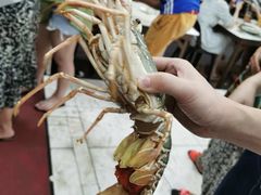 -吉隆坡国际机场