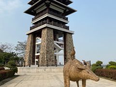 -大湾区中央湿地公园