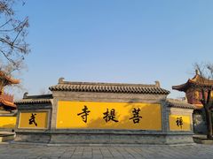 -台儿庄古城