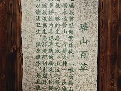 -九龙江国家森林公园