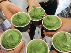 -雪绿茶博物馆