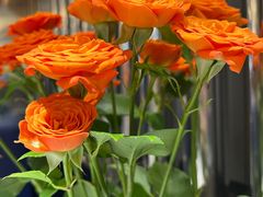 -鹿港小镇(金虹桥国际中心店)