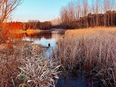 -昆山城市生态森林公园