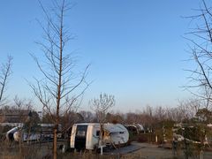 -盐官日光域房车营地·有盐餐厅