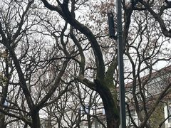 -不晚酒店(苏州观前平江路店)