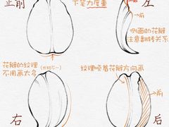 -学知乐教育·幼小衔接·小学科辅导(浦东外高桥森兰中心)
