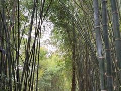 -英西峰林·洞天仙境