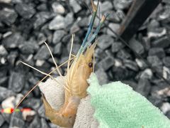 -DGE季风钓虾营地·团建·聚会