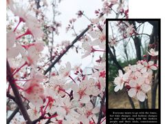 -红跑车HPCBAKERY(汉商店)