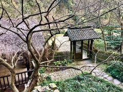 -黄公望隐居地