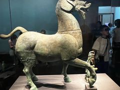 -广西壮族自治区博物馆