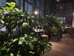 -大树餐厅(红旗街万达店)