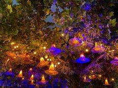 -郑州方特梦幻王国