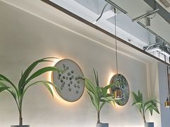 -探窝·竹笙椰子鸡(杨箕店)