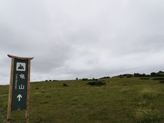-御道口草原森林风景区