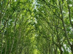 -河南省黄河迎宾馆