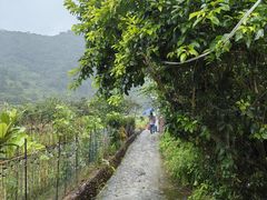 -悦来居•农家美食•生态有机•老式民宅(溪头村店)