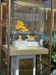 -菜百首饰店(总店)