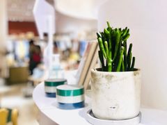 -OCE(熙地港购物中心店)