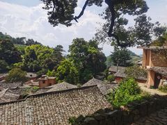 -杨家堂村