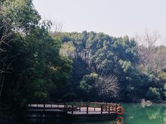 -新洲生态园