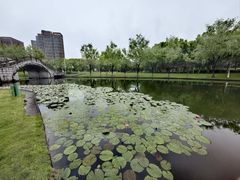 -院士公园