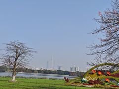 -海珠湖公园