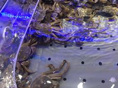 -澜悦港海鲜体验主题餐厅