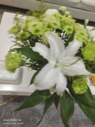 -HEYAN长风荷妍专业脱毛美肤
