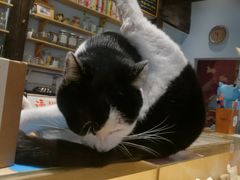 -猫的天空之城概念书店(杭州南宋御街店)