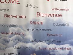 -飞跃加拿大